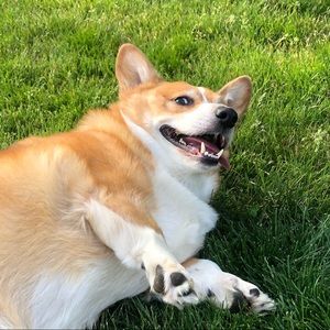 Meet your Posher, Mary